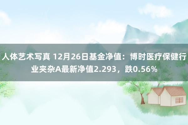 人体艺术写真 12月26日基金净值：博时医疗保健行业夹杂A最新净值2.293，跌0.56%