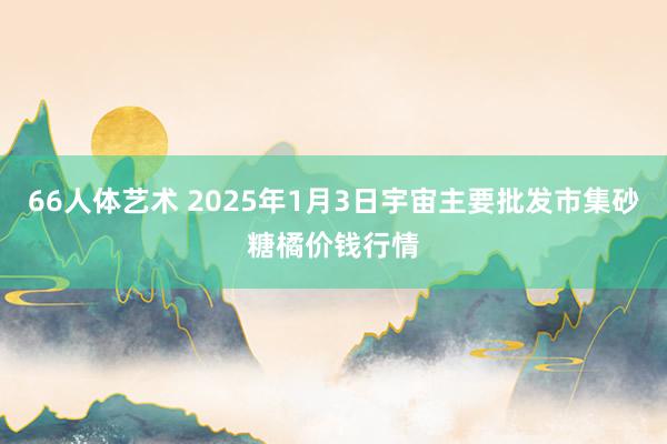 66人体艺术 2025年1月3日宇宙主要批发市集砂糖橘价钱行情