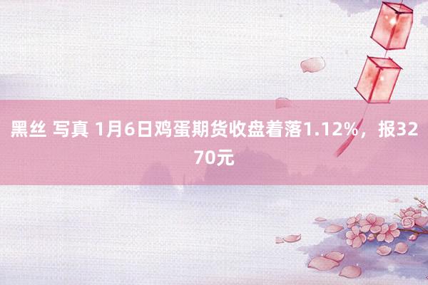 黑丝 写真 1月6日鸡蛋期货收盘着落1.12%，报3270元