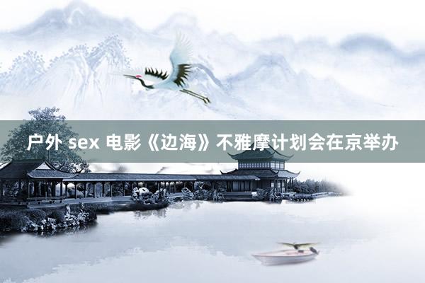 户外 sex 电影《边海》不雅摩计划会在京举办