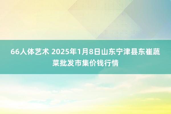 66人体艺术 2025年1月8日山东宁津县东崔蔬菜批发市集价钱行情