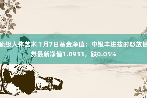 顶级人体艺术 1月7日基金净值：中银丰进按时怒放债券最新净值1.0933，跌0.05%