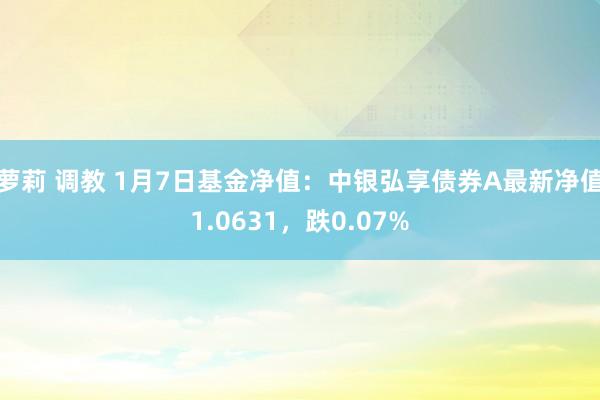 萝莉 调教 1月7日基金净值：中银弘享债券A最新净值1.0631，跌0.07%