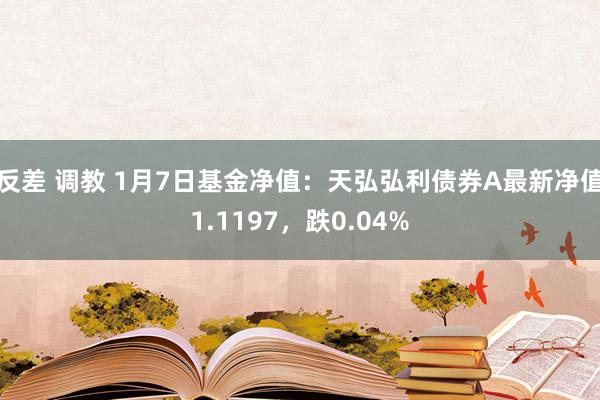 反差 调教 1月7日基金净值：天弘弘利债券A最新净值1.1197，跌0.04%