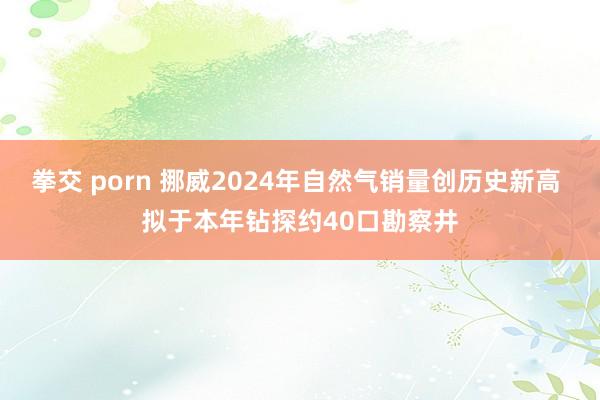 拳交 porn 挪威2024年自然气销量创历史新高 拟于本年钻探约40口勘察井