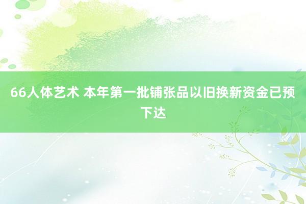 66人体艺术 本年第一批铺张品以旧换新资金已预下达