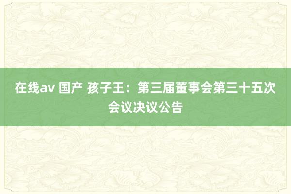 在线av 国产 孩子王：第三届董事会第三十五次会议决议公告