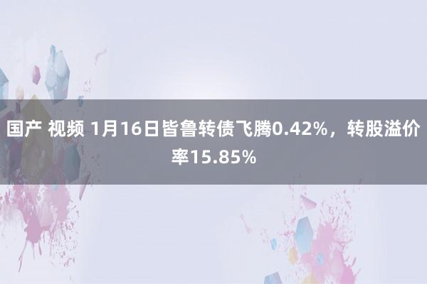 国产 视频 1月16日皆鲁转债飞腾0.42%，转股溢价率15.85%