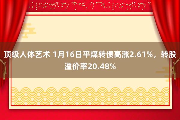 顶级人体艺术 1月16日平煤转债高涨2.61%，转股溢价率20.48%