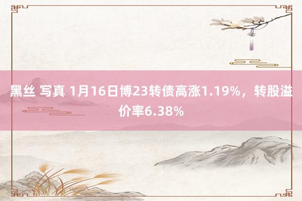 黑丝 写真 1月16日博23转债高涨1.19%，转股溢价率6.38%